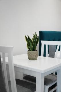 Gardenia Rooms - Sarandë - 9