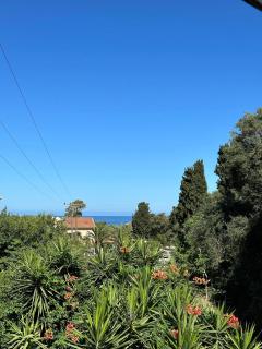 Almyra Apartments & Studios - 6