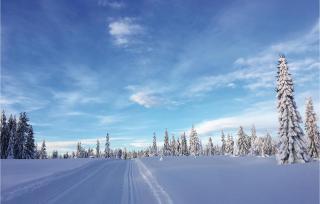 Two-Bedroom Holiday Home In Sjusjoen - Sjusjøen - 4