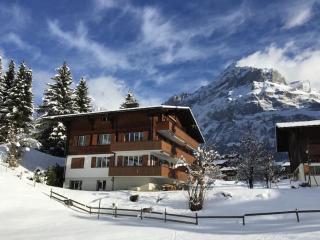 Eiger Nest Apartment - Grindelwald - 0