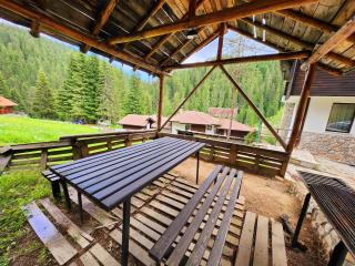 Borche Apartments - Pamporovo - 5