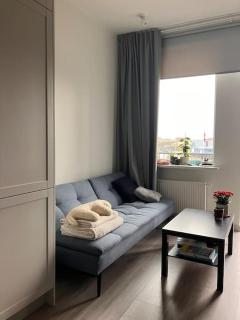 Apartment Mountain Blue - Sigulda - 8