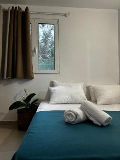 Stella's Olive Tree House - Adelianos Kampos - 6