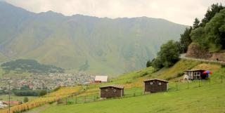 Forest Cabins - 7