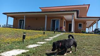 Casa Londrino - 0