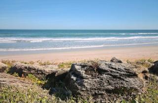 Chadham by the Sea 413 - New Smyrna Beach - 5