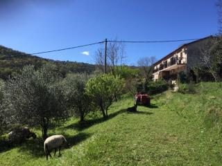 Studio Cotta, Salara farmhouse - 2