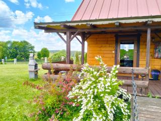 Nad żabim stawem - 2