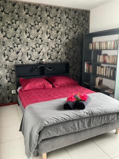 Lhibiscus rouge - Saint-Leu - 9