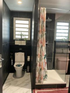 Lhibiscus rouge - Saint-Leu - 6