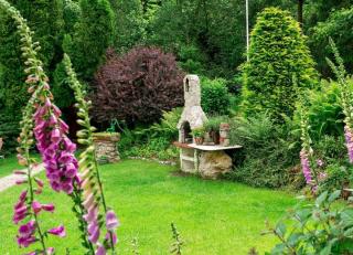 Kleines Appartement mit gepflegtem Garten - Walkenried - 1