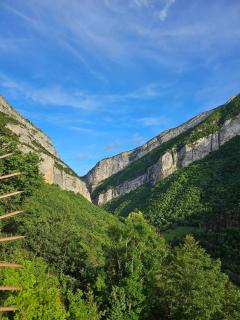 La Tanière Du Phoenix - Échevis - 7