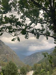 Vintage Vista Camps - 5