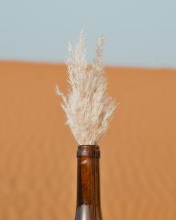 Bohem Camp - Merzouga - 3