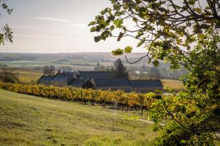 Domaine Beauséjour - Panzoult - 0
