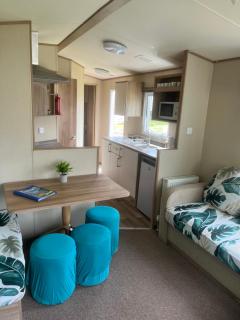 Newquay Bay Resort Oakley 6 birth caravan - 7