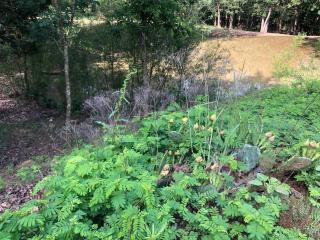 Beautiful Longhorn Lodge at Lake Texoma Gordonville - 3