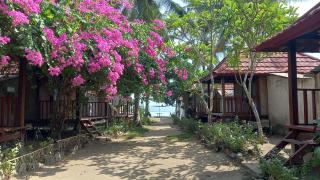 Dessert Point Bungalow - Sekotong - 8