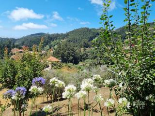 Quiet Countryside Nature Retreat - Santa Cruz - 1