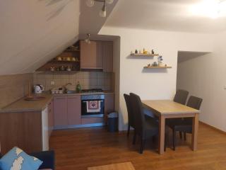 Apartman Suhi vrh 2 - Ravna Gora - 7