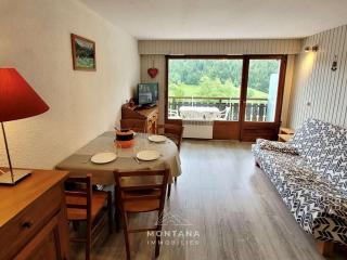Studio rénové de 26m² à Le Grand-Bornand pour 4 personnes - FR-1-458-116 - Le Grand-Bornand - 0