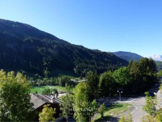 Studio rénové de 26m² à Le Grand-Bornand pour 4 personnes - FR-1-458-116 - 3