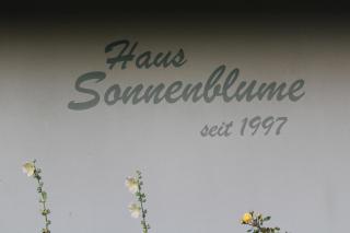 Doppelzimmer Sonnenblume - Kühlungsborn - 7