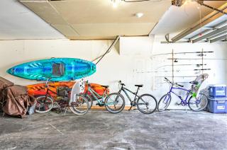 Sea Shell 14 - Premier - 9