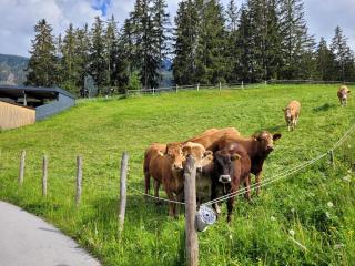 Apartment Waldnah - 7