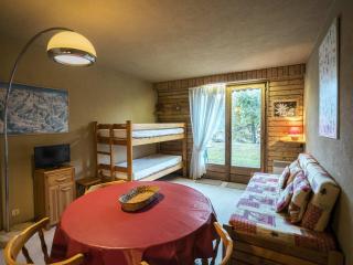 Studio 3 pers. avec terrasse - 100m des remontées, parking, et navettes à proximité - FR-1-676-102 - Châtel - 0