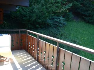 Studio Mezzanine, Châtel - Proche Village et Remontées, 4 Pers., Parking, Balcon, Cuisine équipée - FR-1-676-161 - Châtel - 1
