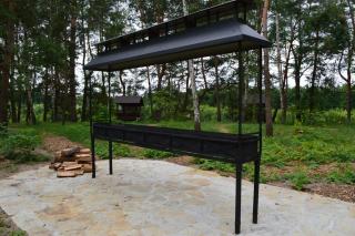 Парк природи Беремицьке та Парк-готель Лісове Озеро - 5