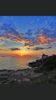 Cosimo - Livorno - 1
