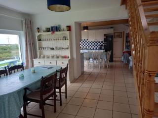 Pet friendly Sea side house in Connemara - Clifden - 5