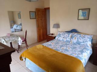 Pet friendly Sea side house in Connemara - Clifden - 4
