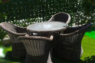 Magnolia - Vama Veche - 1