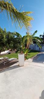 Casa Vacanza "La Mangiatoia in corte" - Gemini - 5