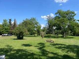 Demeure de charme proche Saint-Emilion - Piscine et Parc - Flaujagues - 2