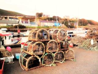 Selkie House Sea Song - Helmsdale - 5