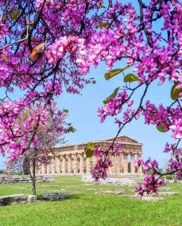 La casa di Gerry - 4