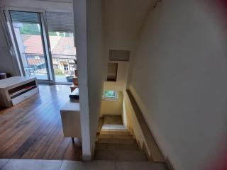 Apartment in the Center of Podgorica - Podgorica - 3