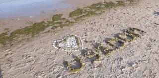 Haus Nemo - Appartement 5, Gemütliches Appartement mit Strandkorb, strandnah 50 m - 5