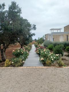 Zeituna Lodge a Porto Cesareo - Torre Lapillo - 1