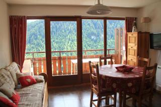 Barbessine BBB18 SUN & CHAIR LIFT 4 pers - Châtel - 6