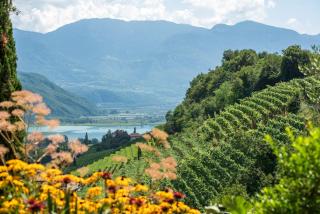 Villa Barleit - Caldaro - 9