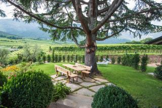 Villa Barleit - Caldaro - 4