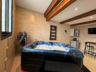 Le Cocon SPA lune de miel - Lunel - 6