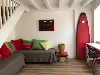 SEIGNOSSE OCEAN- Résidence LA JUNCADE Agréable villa mitoyenne pour 6 personnes - 4