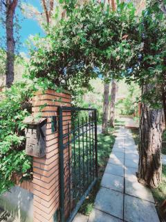 PineTrees Gem Villa Golem - 5