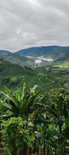 Finca Campestre Villa del Campo - 8